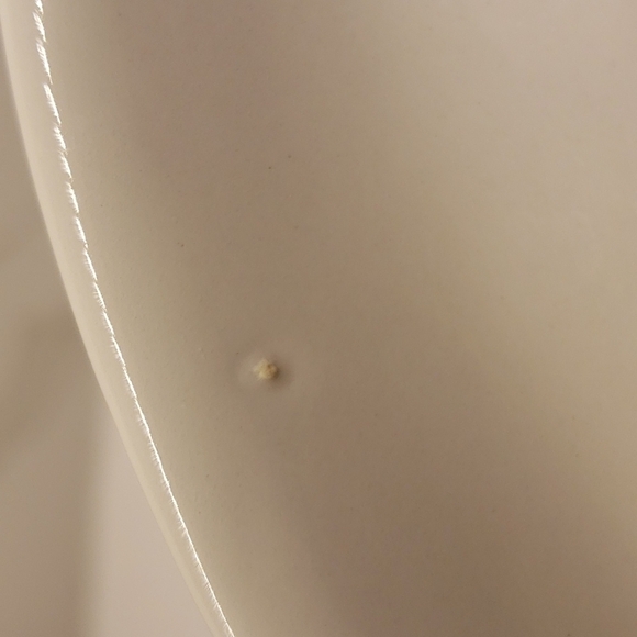 Vintage Portmeirion Wood Duck Anas Sponsa Decorative Plate Dish 10.5"Di… - Picture 6 of 7